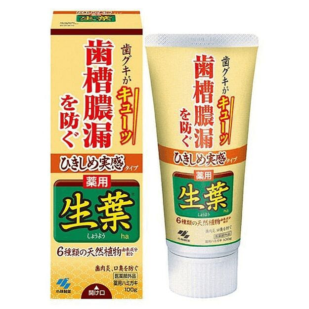 KOBAYASHI Leafy Natural Plant Toothpaste 100 g