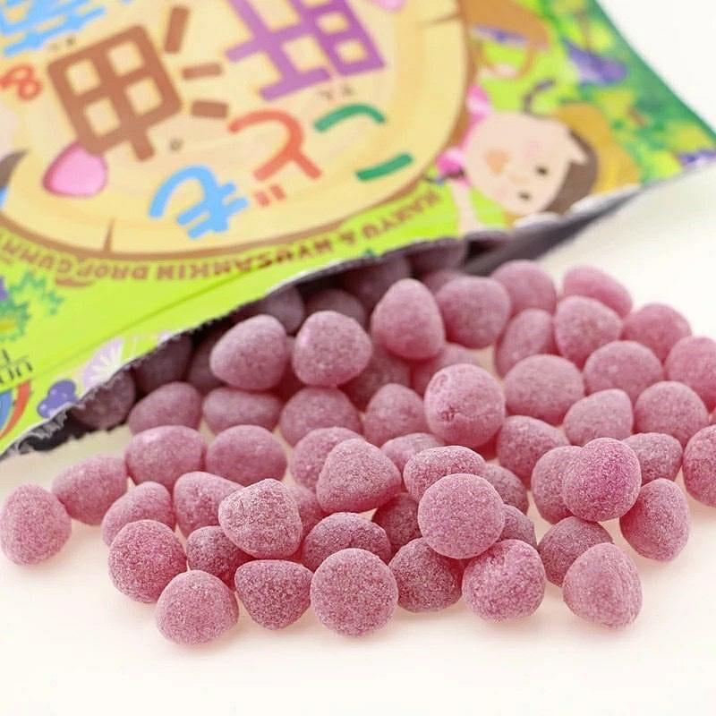 UNIMAT RIKEN リケン こども肝油&乳酸菌 ドロップグミ ぶどう味 100粒入 1 個
