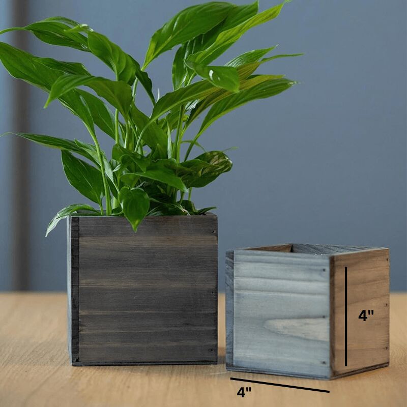 ラスティック ナチュラル 木製プランター（4インチ × 4インチ） 6