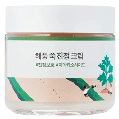 ROUND LAB Mugwort Calming Cream 80ml 80 ml