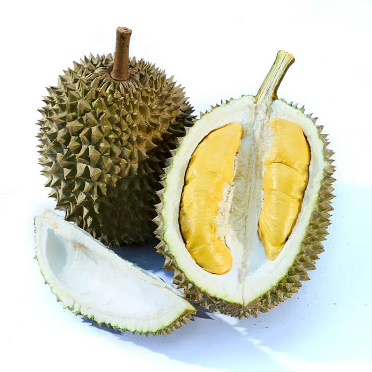 SẦU RIÊNG MUSANG KING D197 NGUYÊN TRÁI