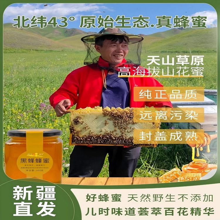新疆黑蜂蜂蜜500g纯正天然野生黑蜂土蜂原蜜百花蜜 500 克
