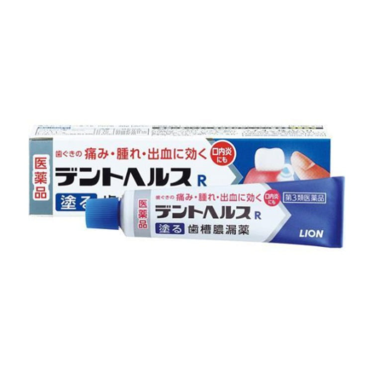 LION Dent Health R 20g 1 each