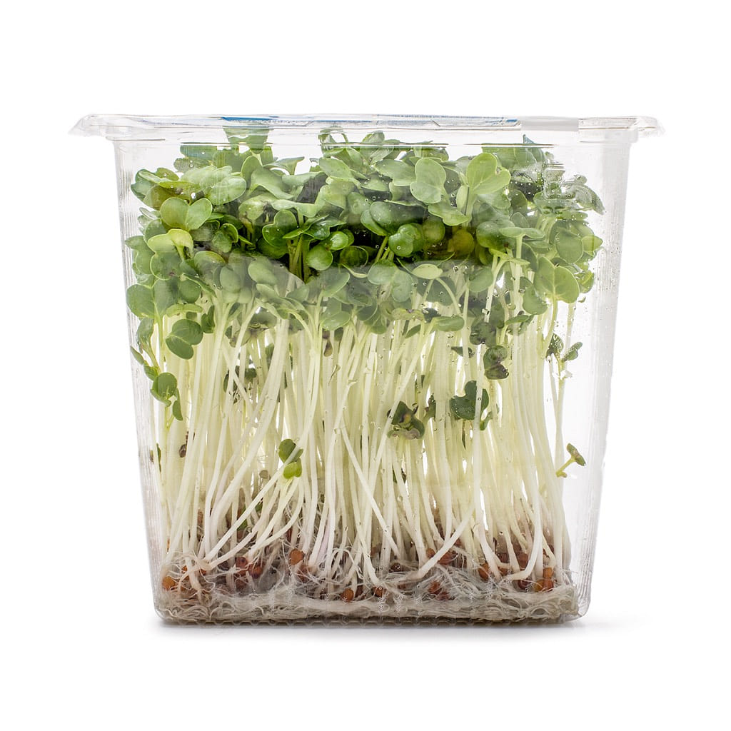 Brotos de Rabanete 2.5 oz