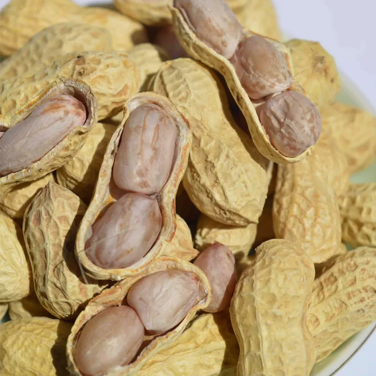 蒜香水煮花生500*1 500 克