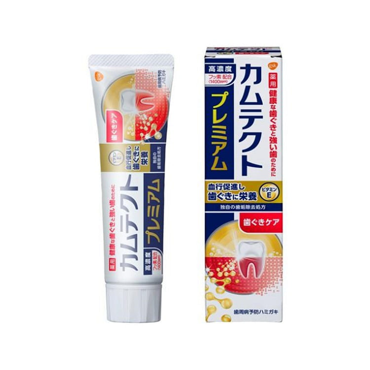 GSK CHJ Camtect Premium Gums Care 105g 1 each