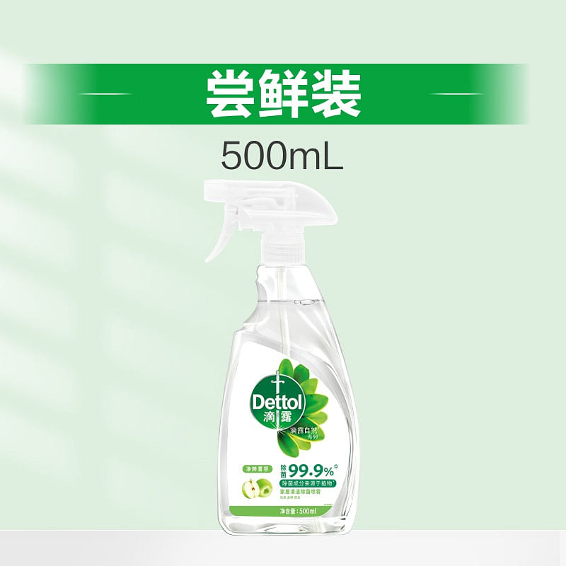 Dettol household spray cleaner 500ml 500 ml