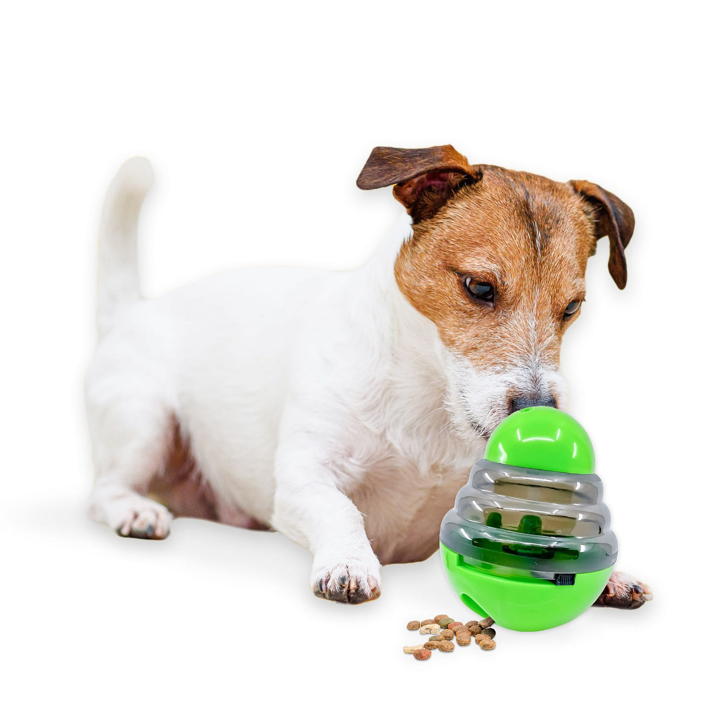 Flipo Tumbler Treat Dispensing Pet Toy 1 each