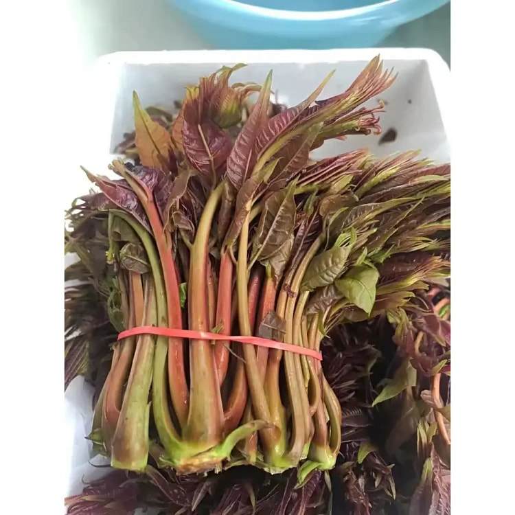 香椿芽新鲜野生100g*1袋