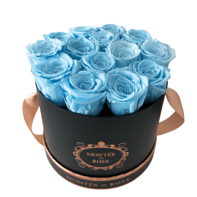 Black Medium Round Sky Blue 1 each