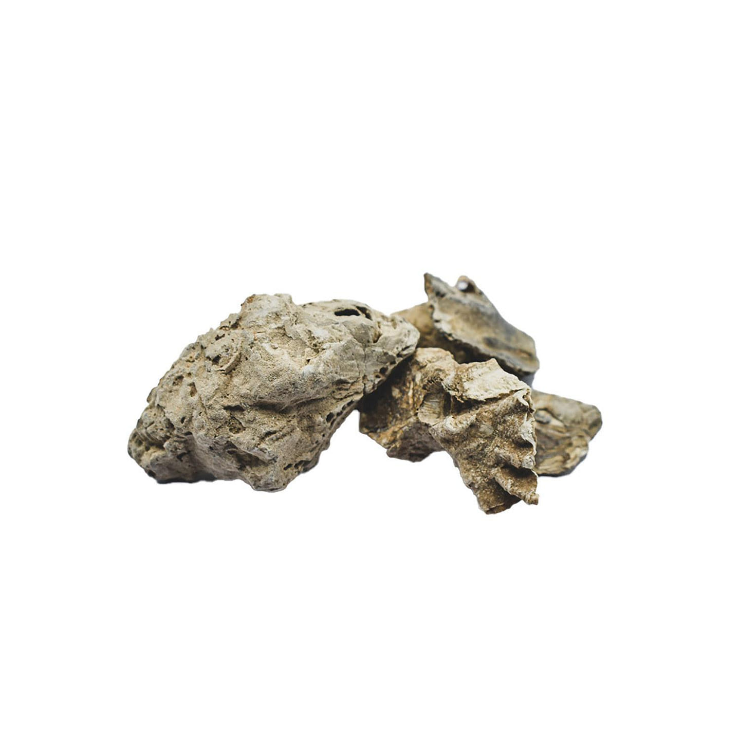 MU LI - Oyster Shell - Custom Amount 1lb lb 1 each