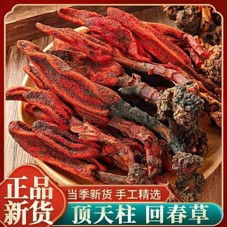 野生整根回春草草苁蓉100g*袋 100 克