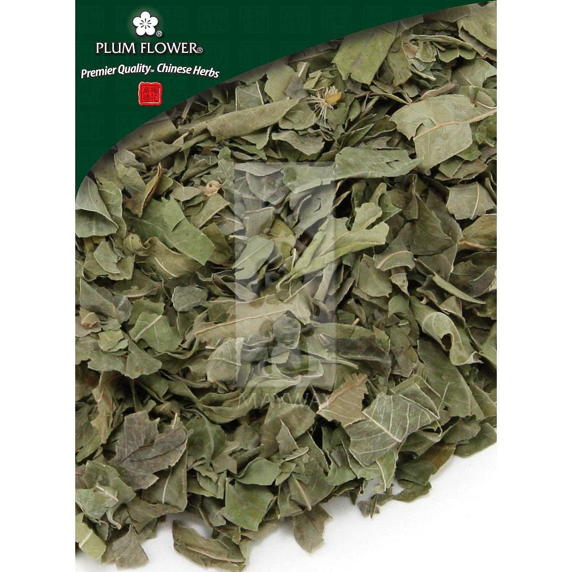 Luo Bu Ma Ye, unsulfured Apocynum venetum leaf 1 each