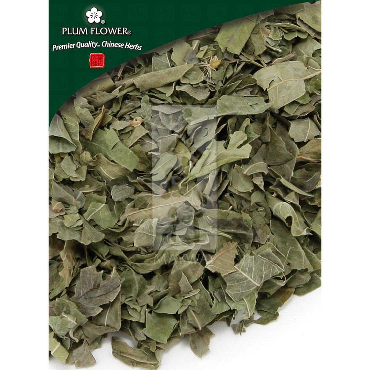 Luo Bu Ma Ye, unsulfured Apocynum venetum leaf