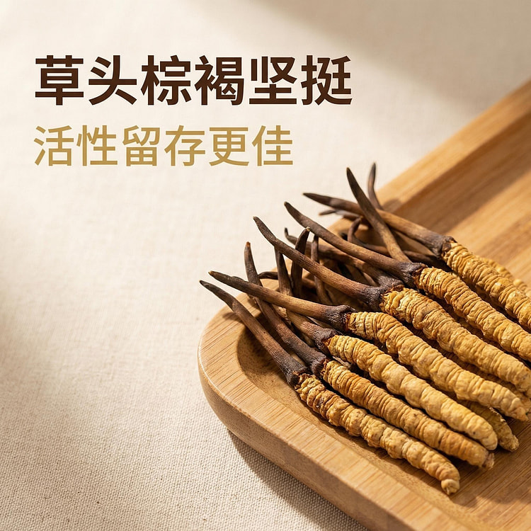 Fresh first-harvest cordyceps from high altitudes 10 each
