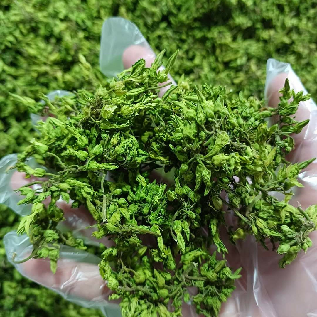Dried Tonkin Jasmine 100 g