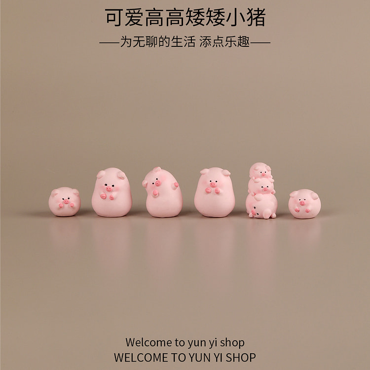 SUMI多肉植物 微世界礼盒装