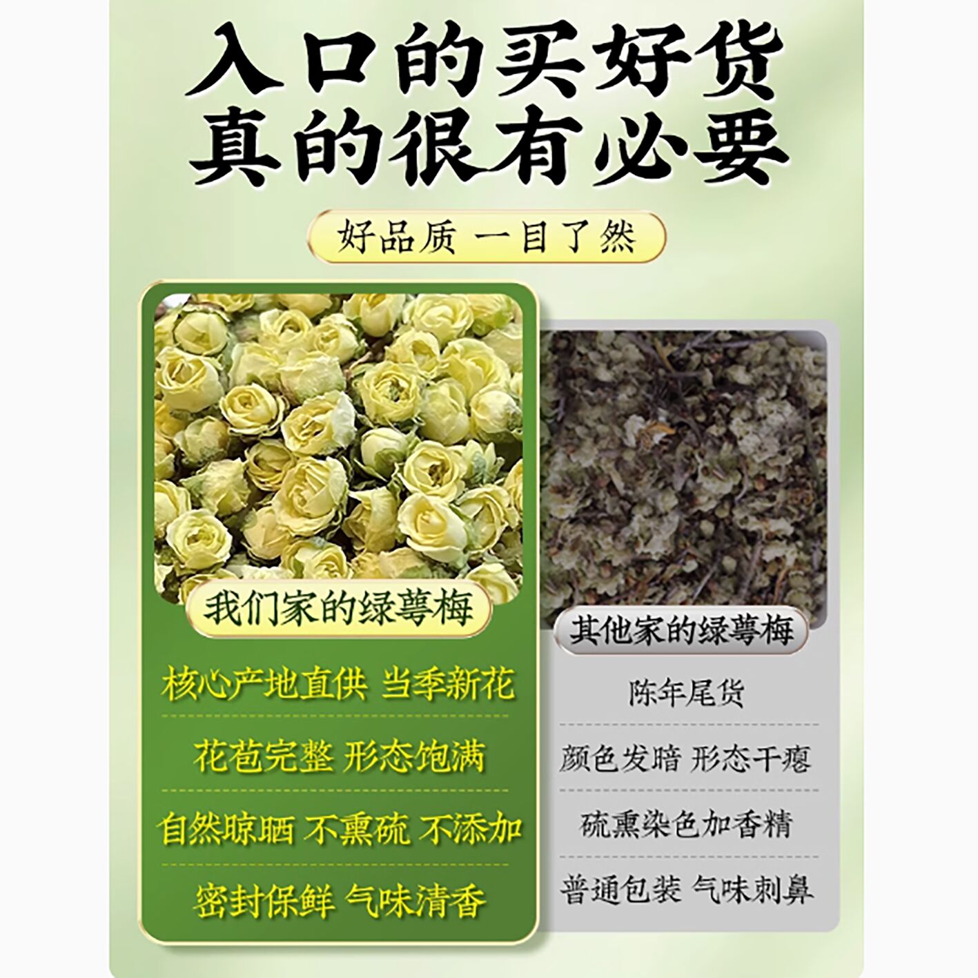 绿萼梅中药材野生白梅花- Weee!