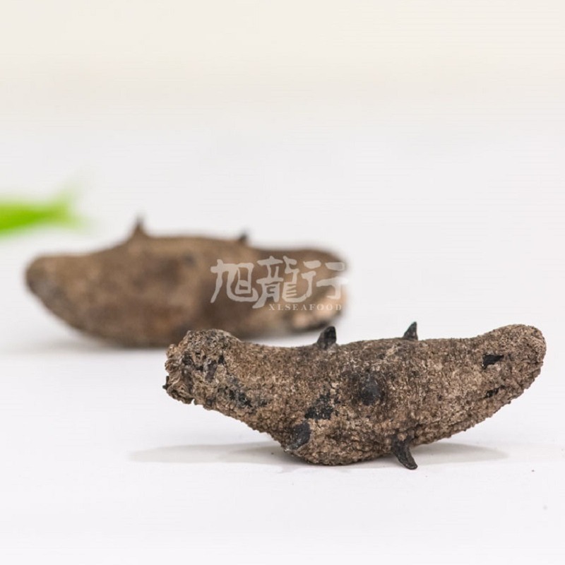 XLSEAFOOD Sun Dried California Eight Pin Warty Sea Cucumber Sample 1 each