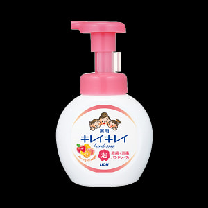 LION 狮王 植物洁净泡沫按压式洗手液 果香