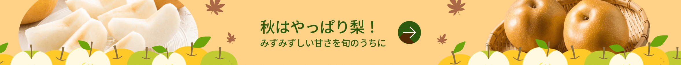 notice banner image