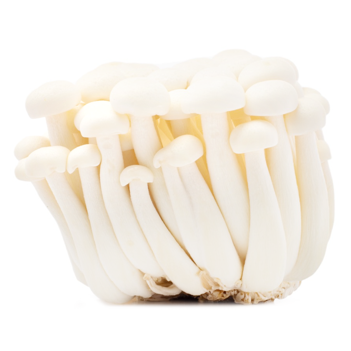 Get White Beech Mushrooms 1 each Delivered | Weee! Asian Market
