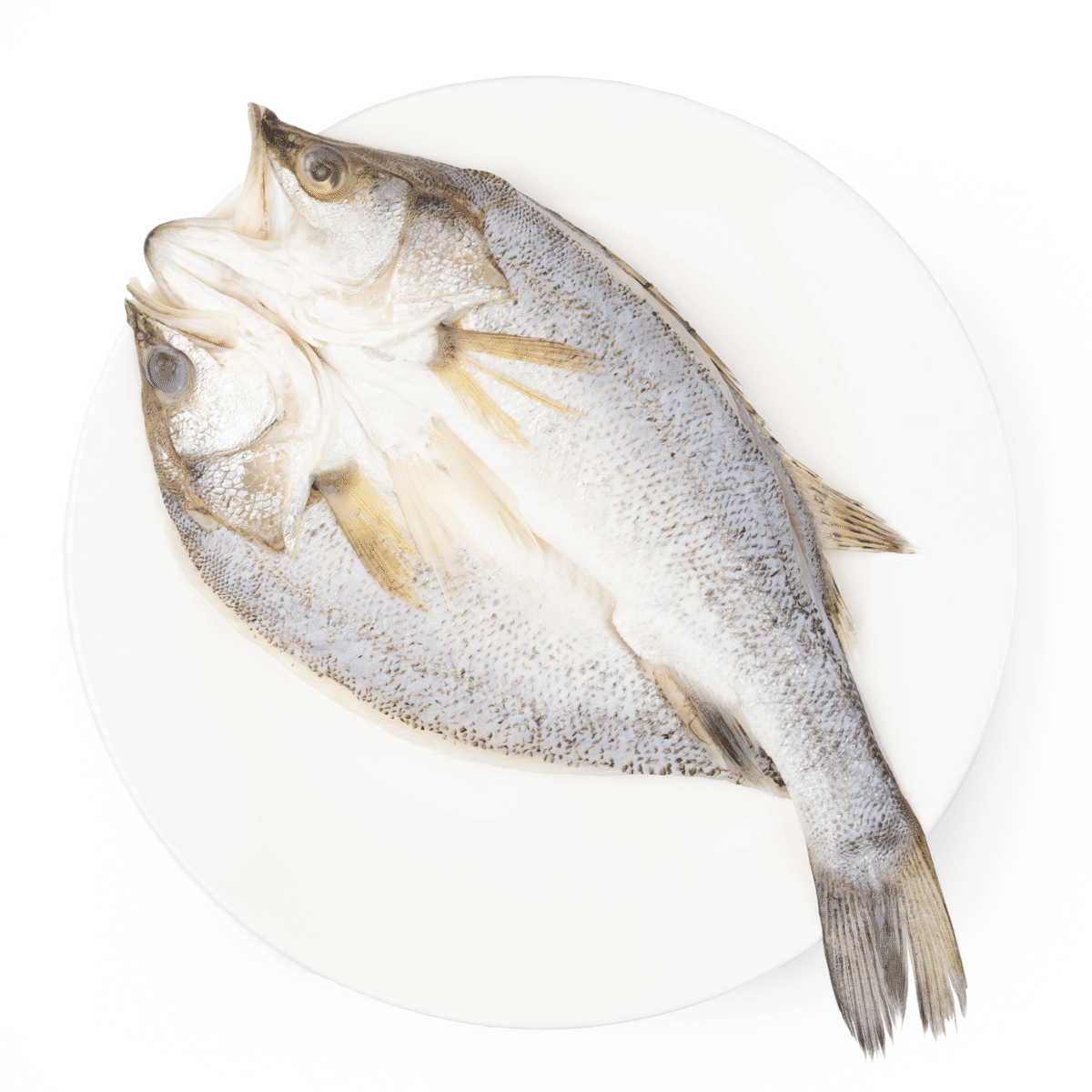Talassa Sea Bass Butterfly, Infused with Chinese Cooking Wine, Frozen 500-600 g