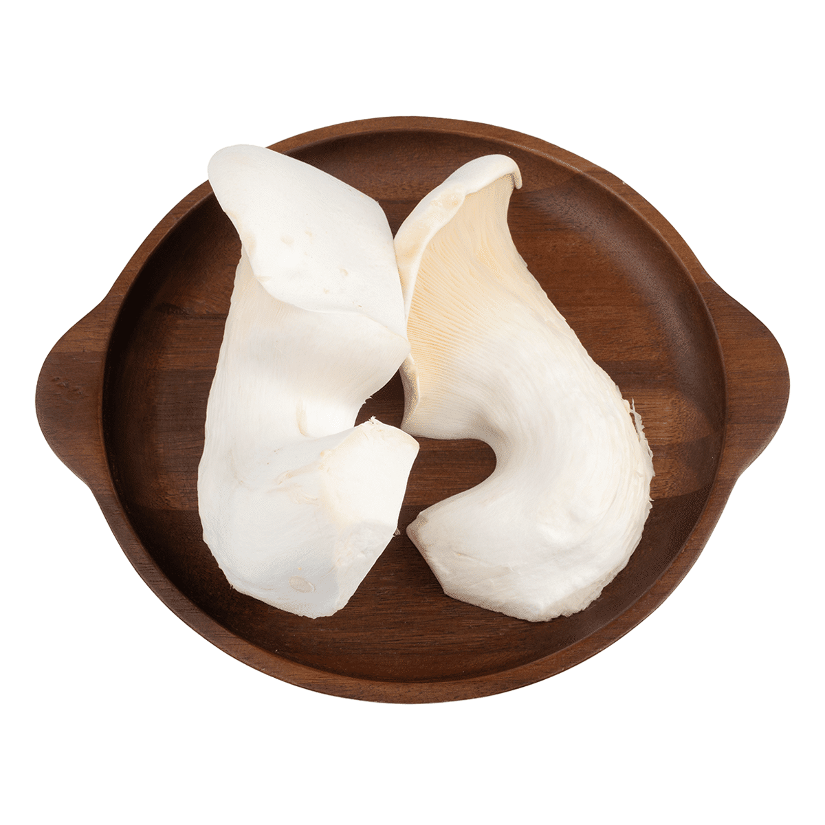 Abalone Mushroom 6 oz