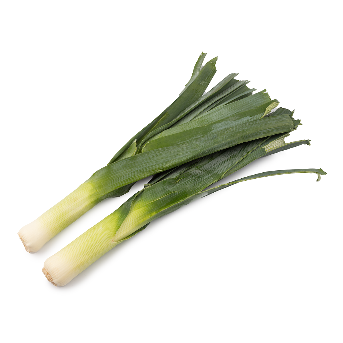 正規品　新品　 Amuseable Leek ネギ　長ネギ　　葱 アメリカリーキ(ネギ) 1 まとめて - Weee!