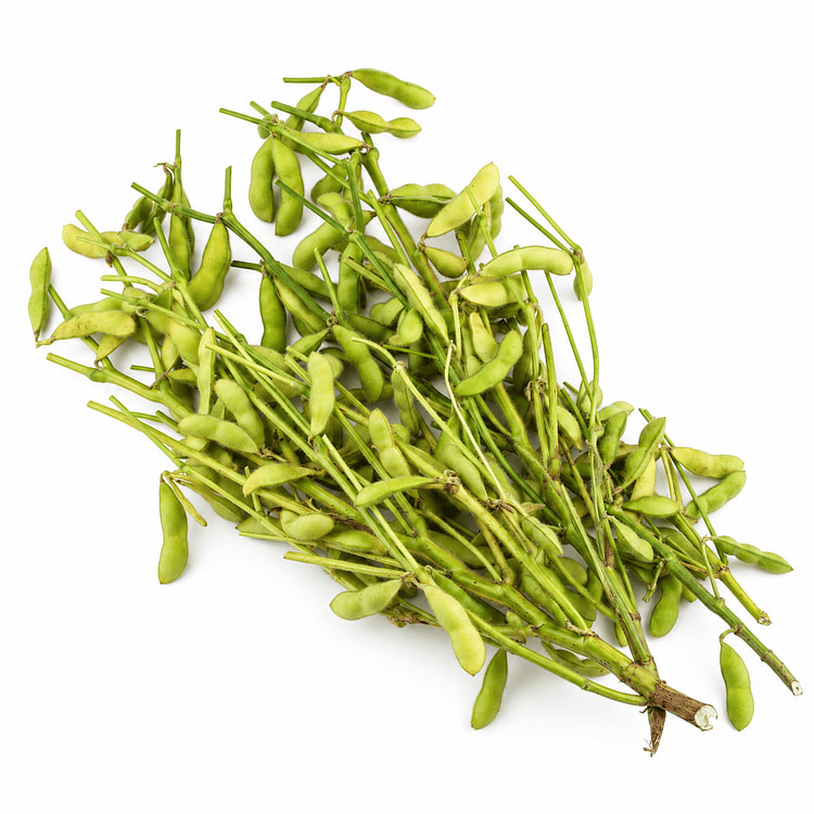 Edamame With Stem 1.3-1.5 lb