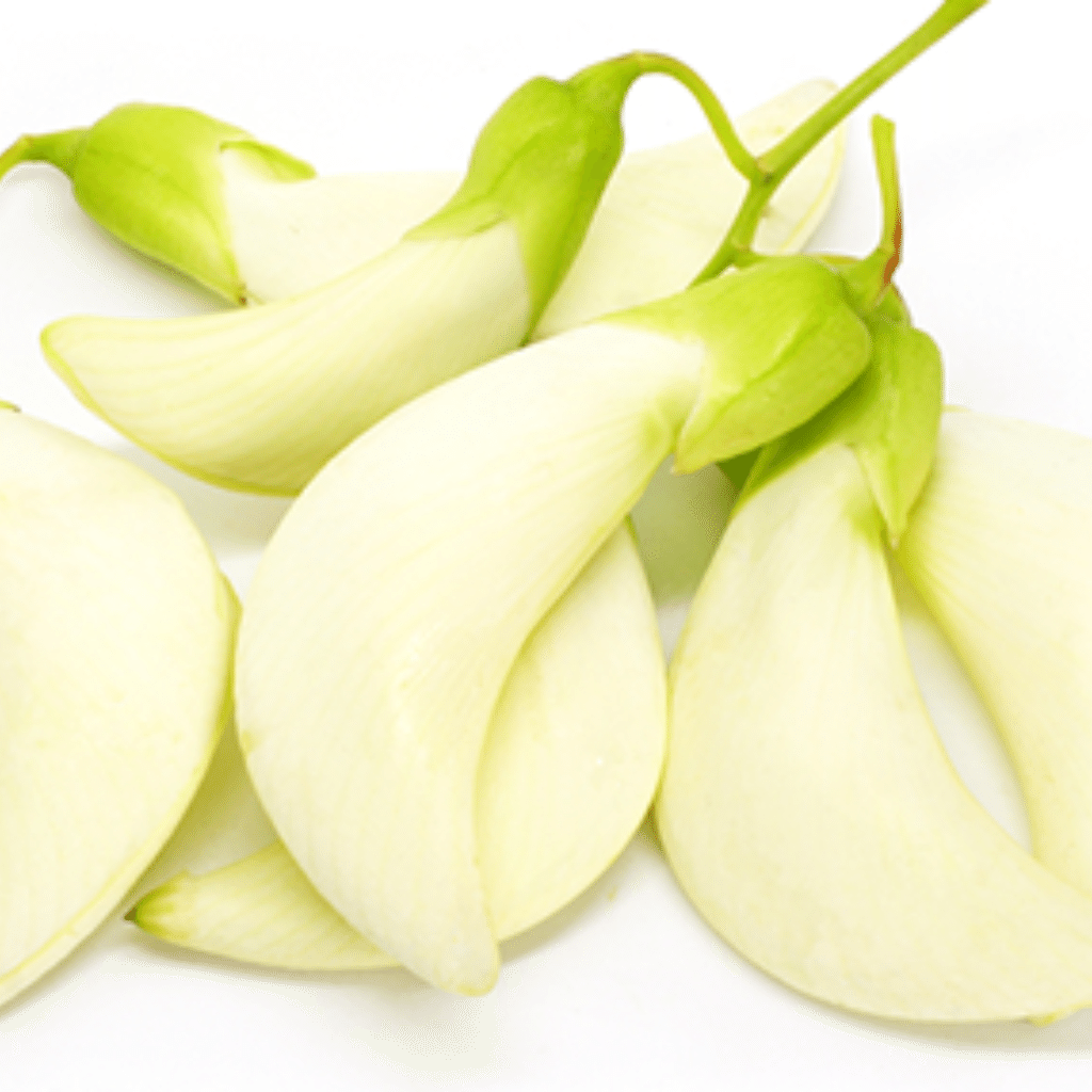 Vietnamese Sesbania Flower (Bông So Đũa) 6 oz