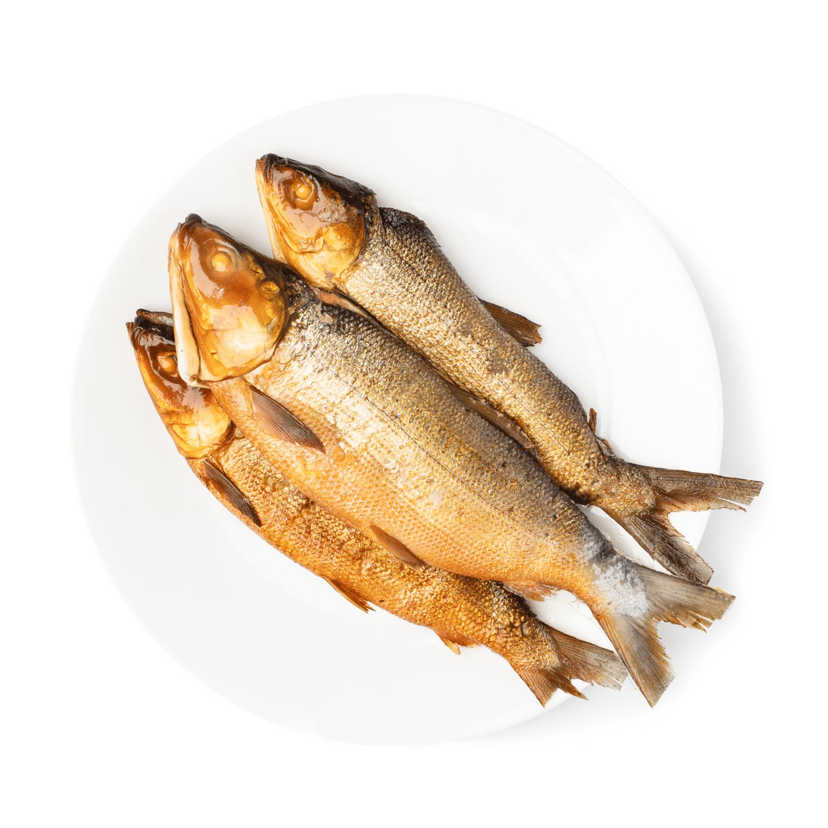 Tropics Boneless Tinapa Bangus (Smoked Baby Milkfish), Frozen 14 oz