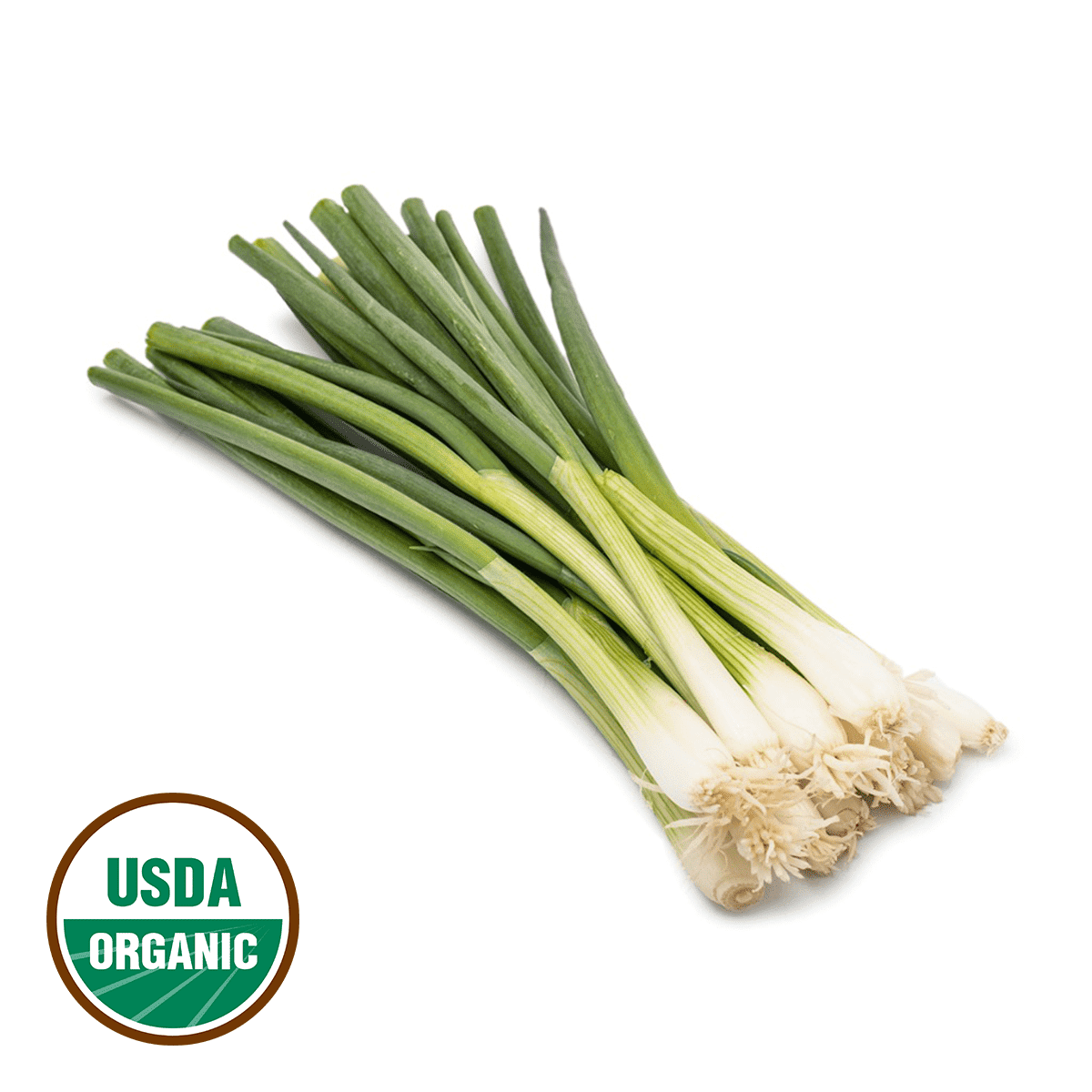 Organic Green Onion 4.5 oz