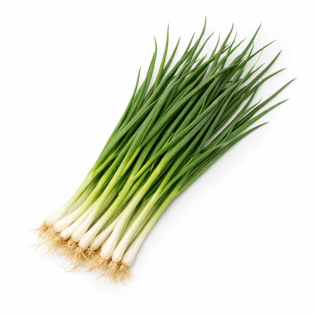 Korean Green Onion 1 bunch