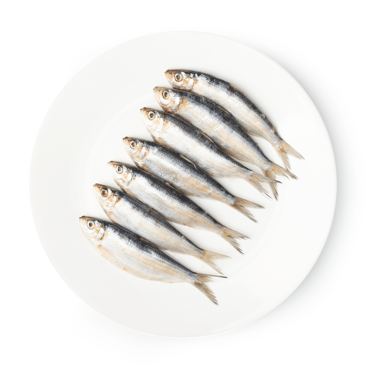 Isla Frozen Tunsoy (Sardines) 1 파운드
