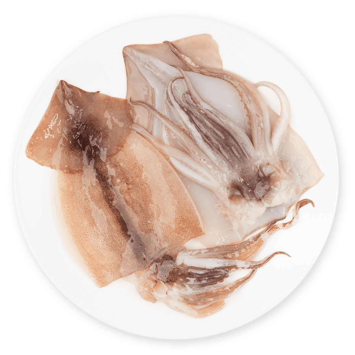 Whole Cleaned Squid 1 lb