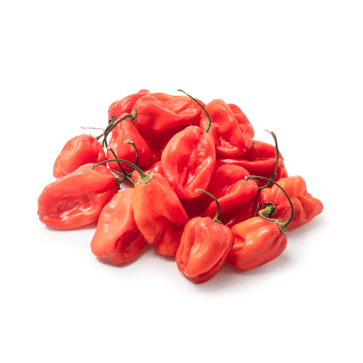 Red Habanero Peppers 8 oz