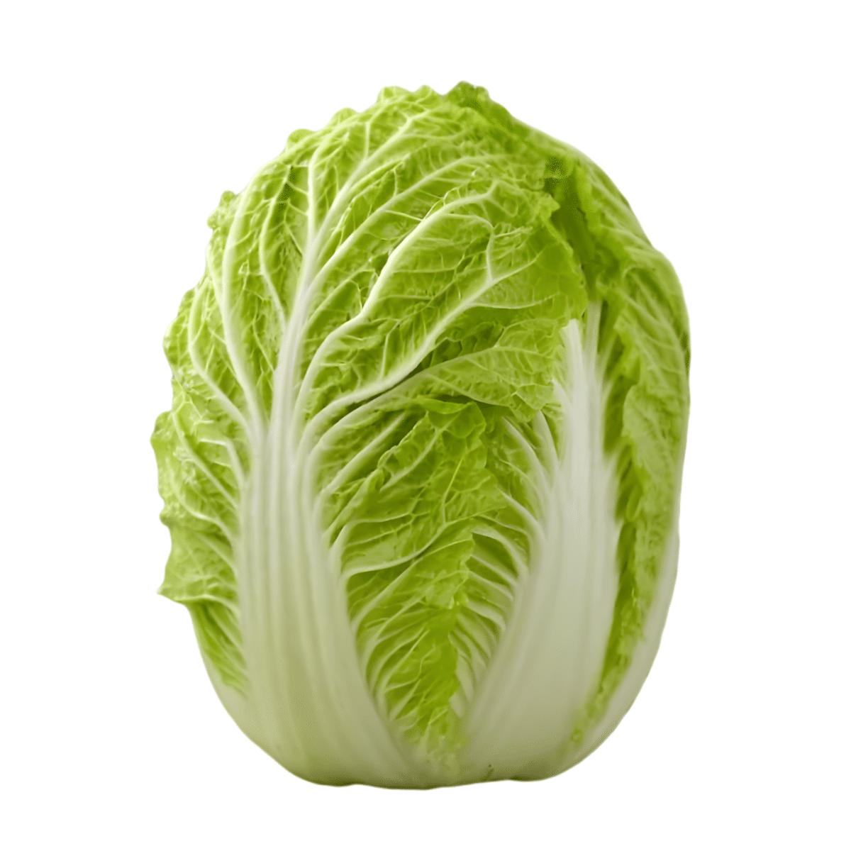 新鲜大白菜 1 个