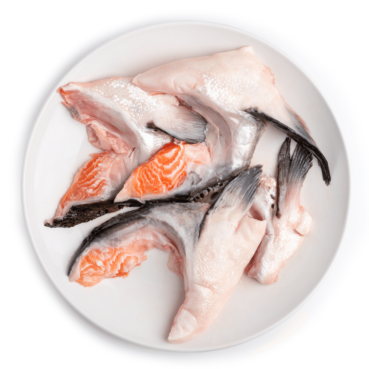 Colar de Salmão Atlântico, Congelado 1.5 lb