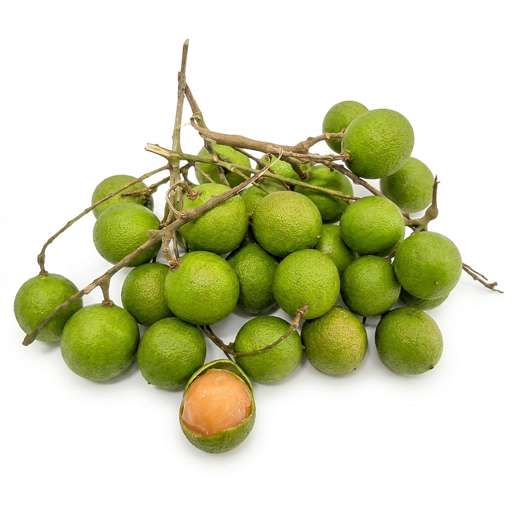 Spanish Lime (Mamoncillo) 1 lb