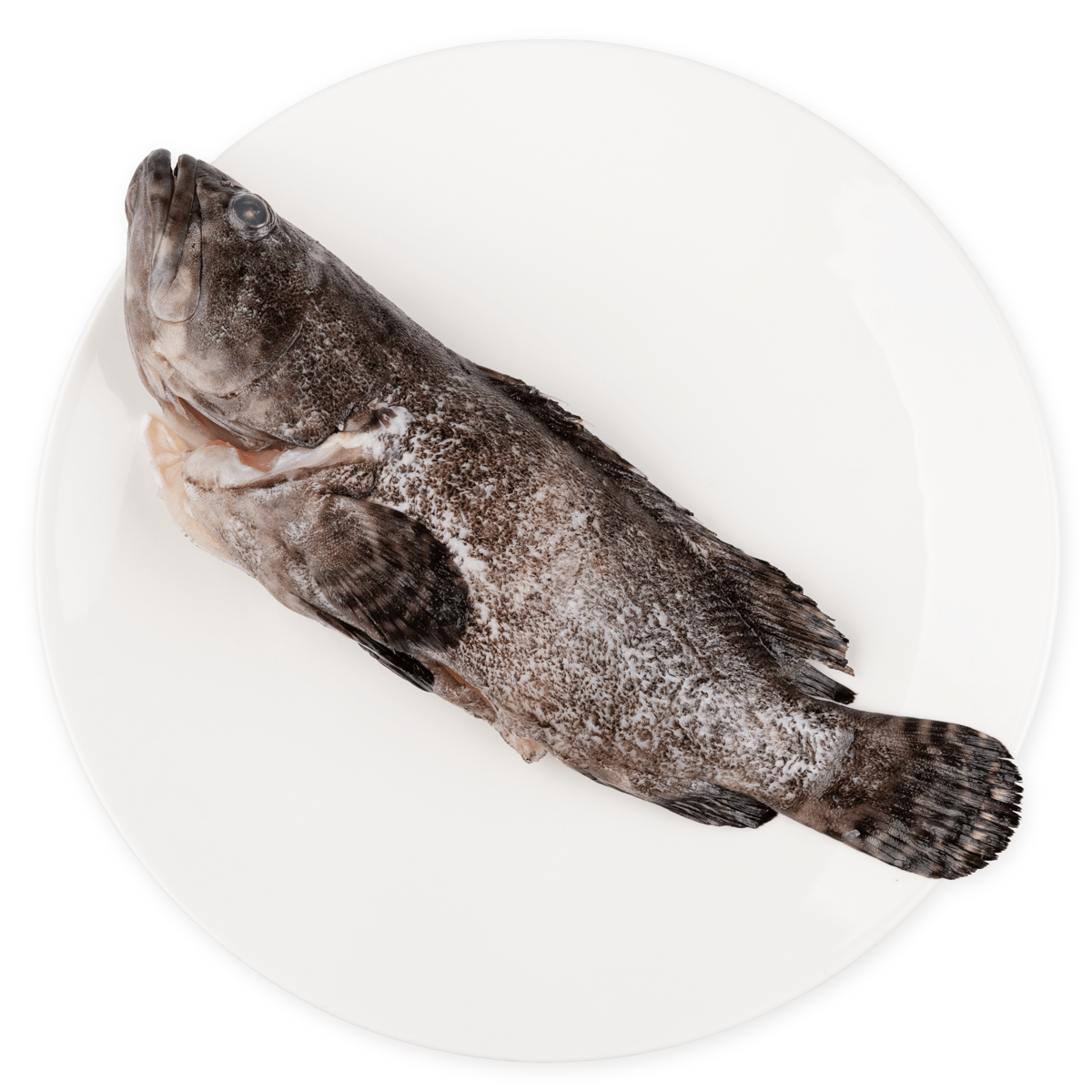 天时福龙虎石斑鱼(已清理) 冷冻500-600 克- Weee!