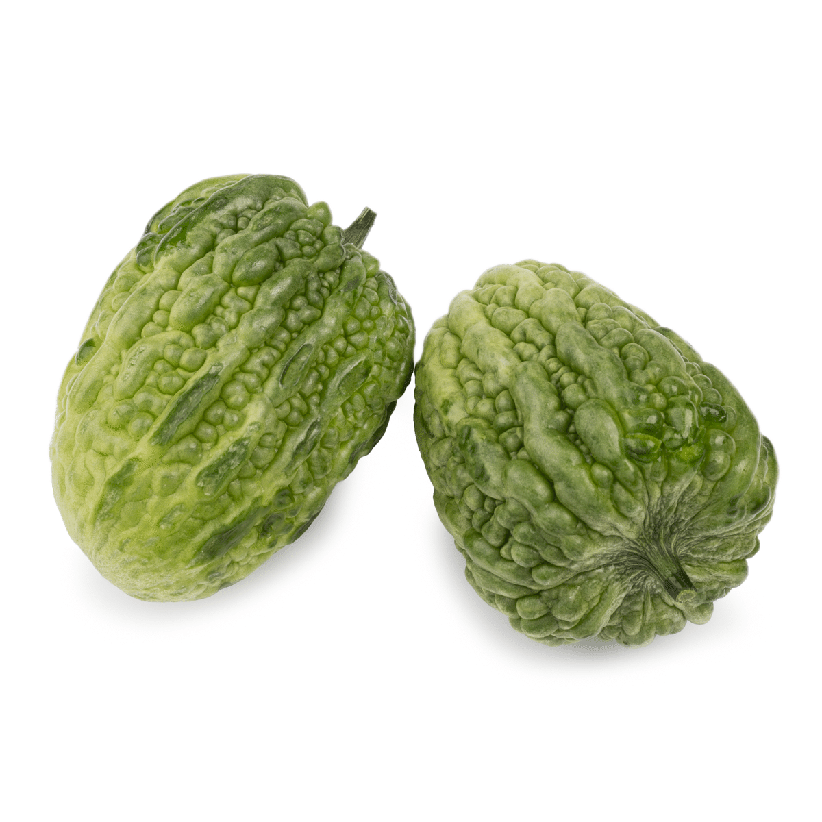 Melão Amargo Chinês Curto 1.2-1.5 lb