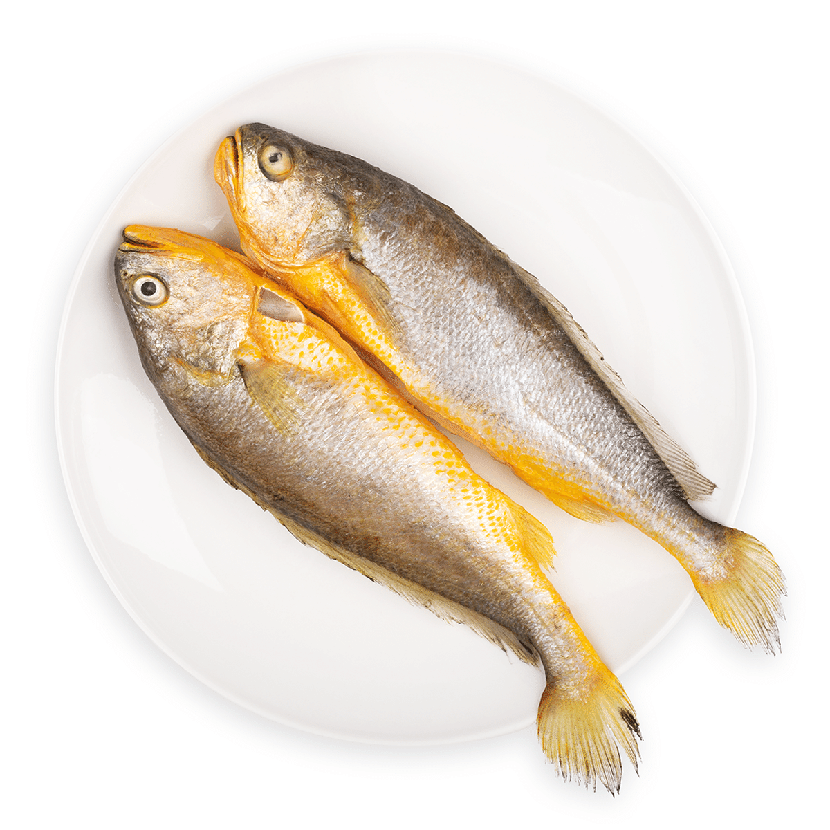 Pescada Amarela Queensbay, Congelada 2 peças 500 g