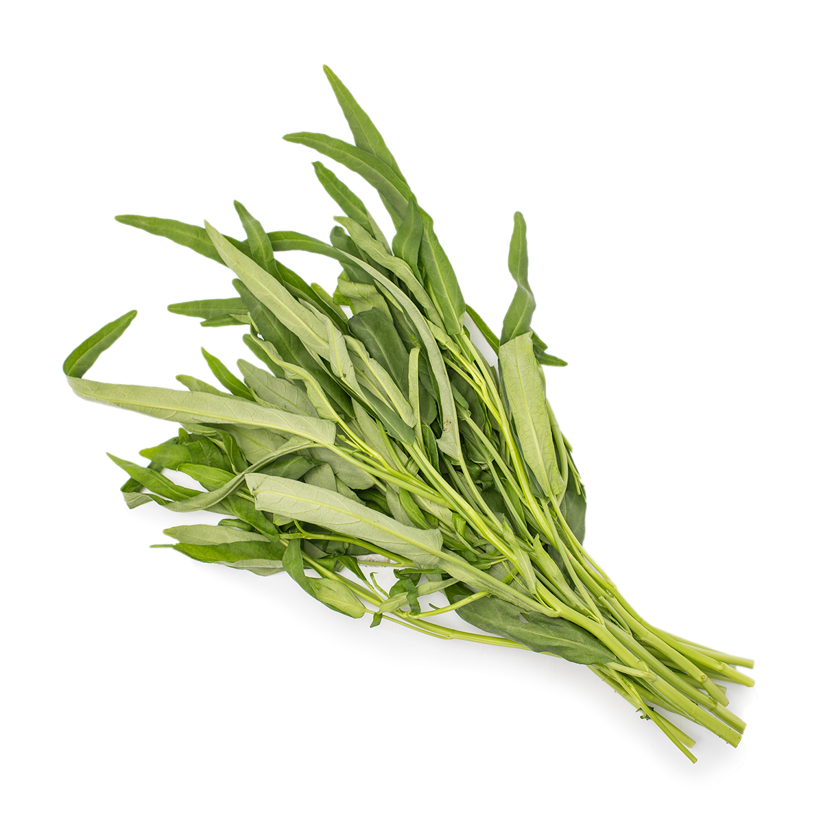 空芯菜…5kg E36A7B482E21ACC.png