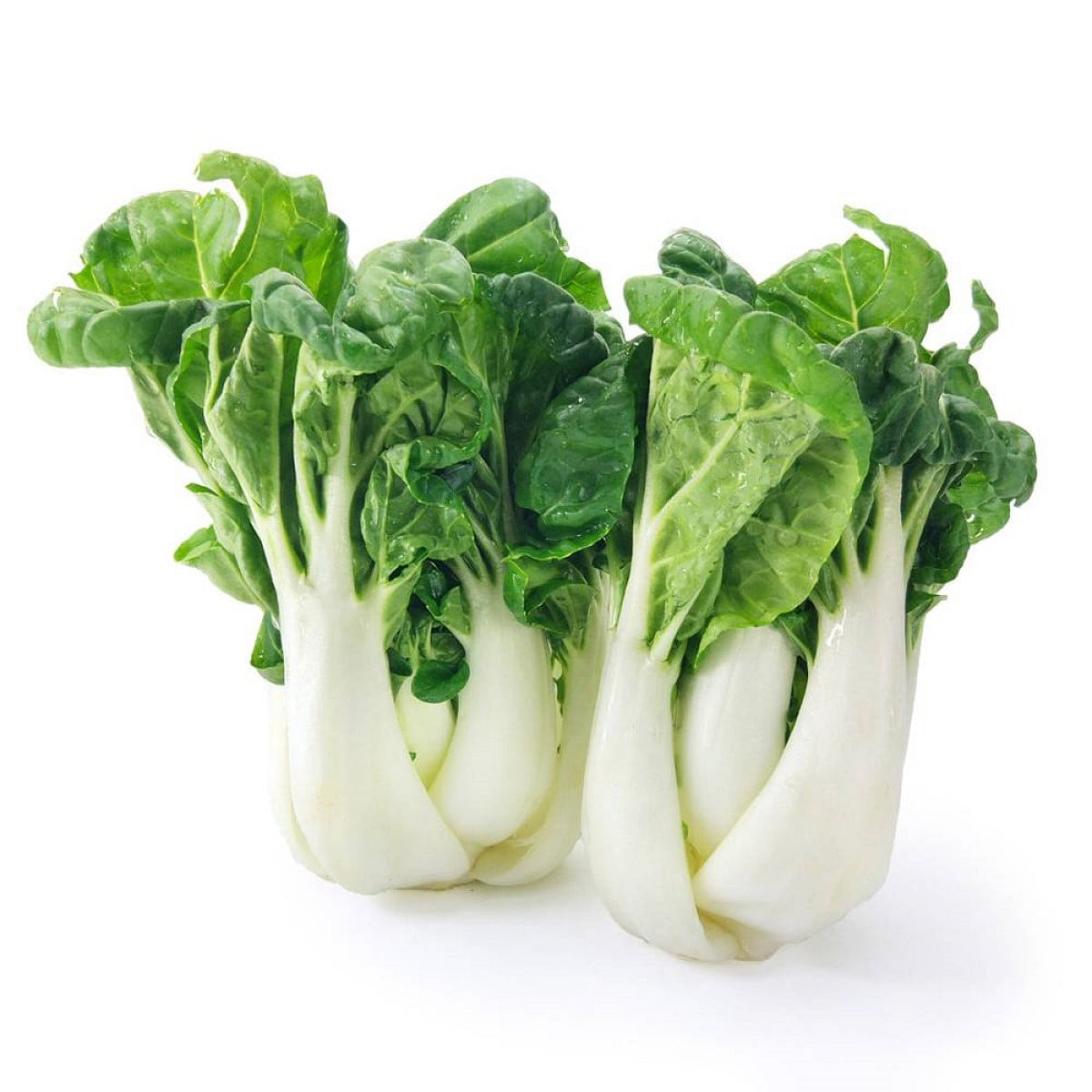 奶油白菜 2 磅