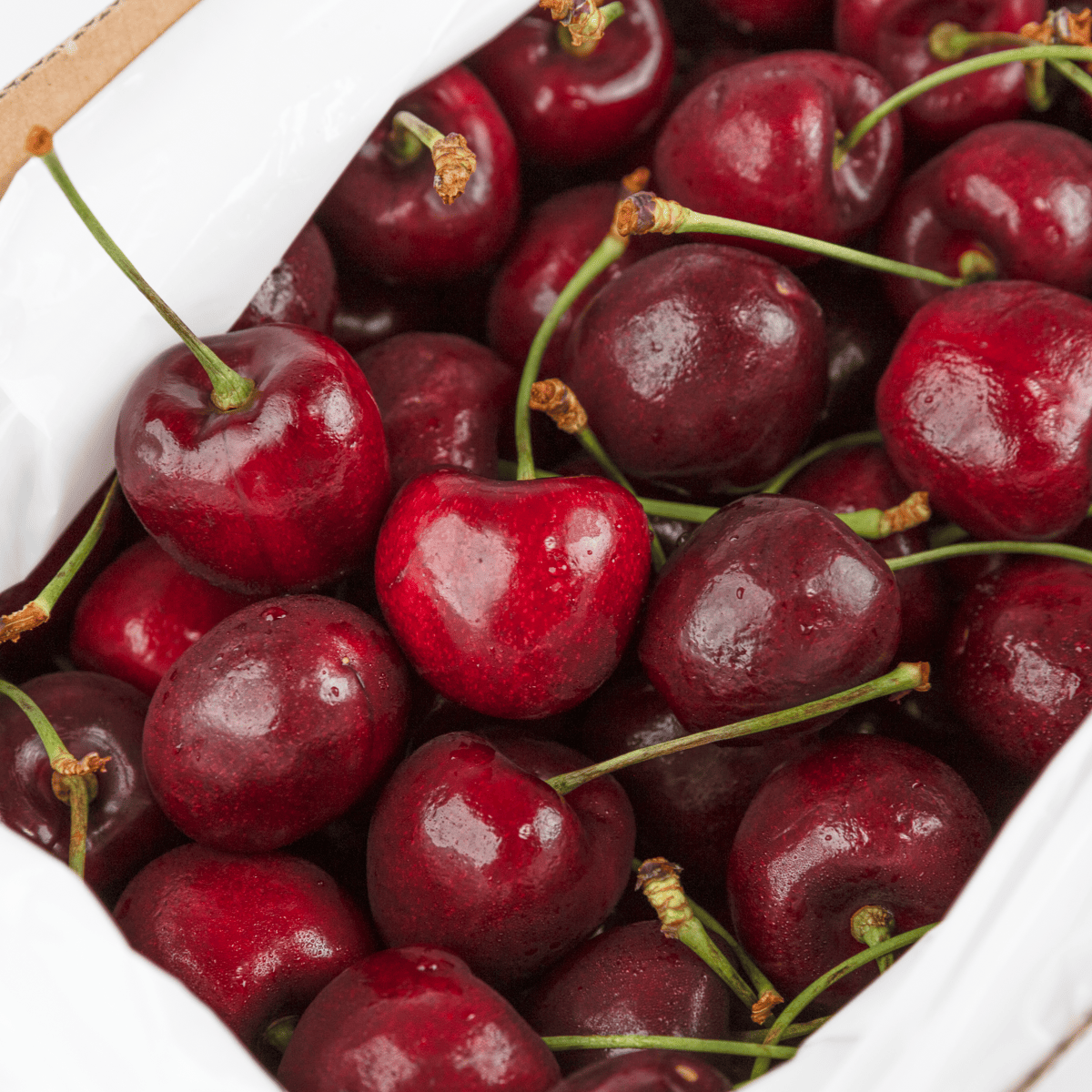 Get Jumbo Size New Zealand Red Cherry Air-shipped Gift Box ﻿ 4.4