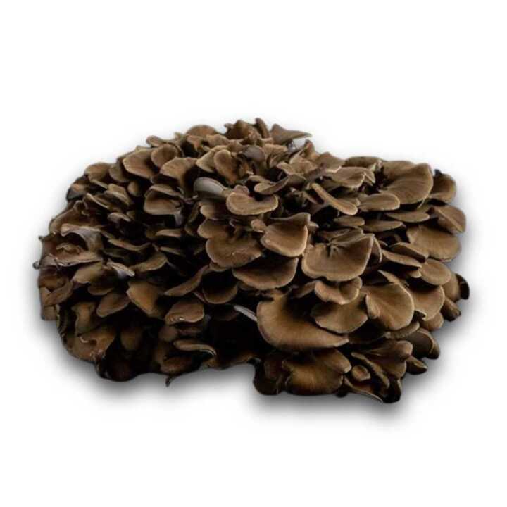 Get Shogun Maitake Mushrooms Delivered Weee! Asian Market
