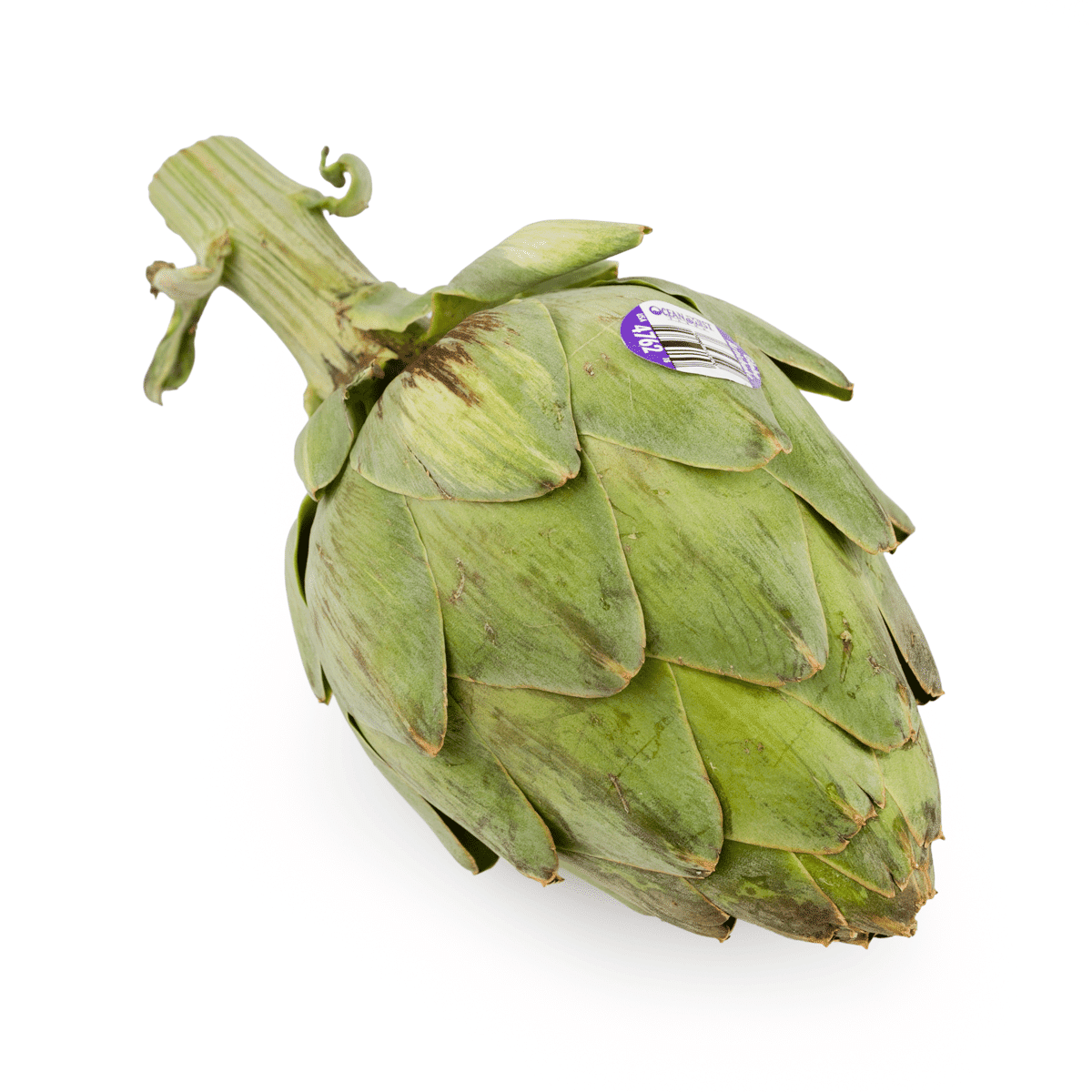 Artichoke 1 count