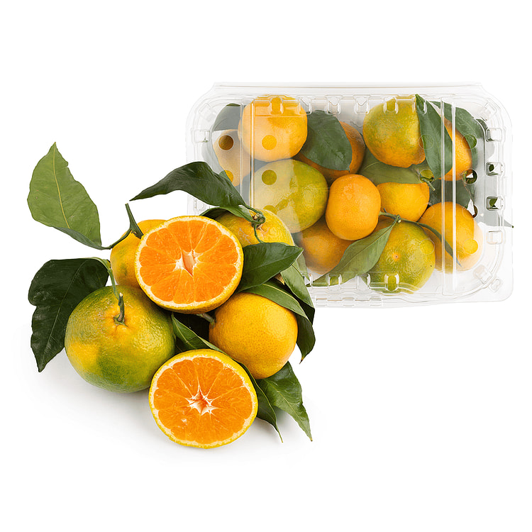 Satsuma Mandarins with Stem 4 lb