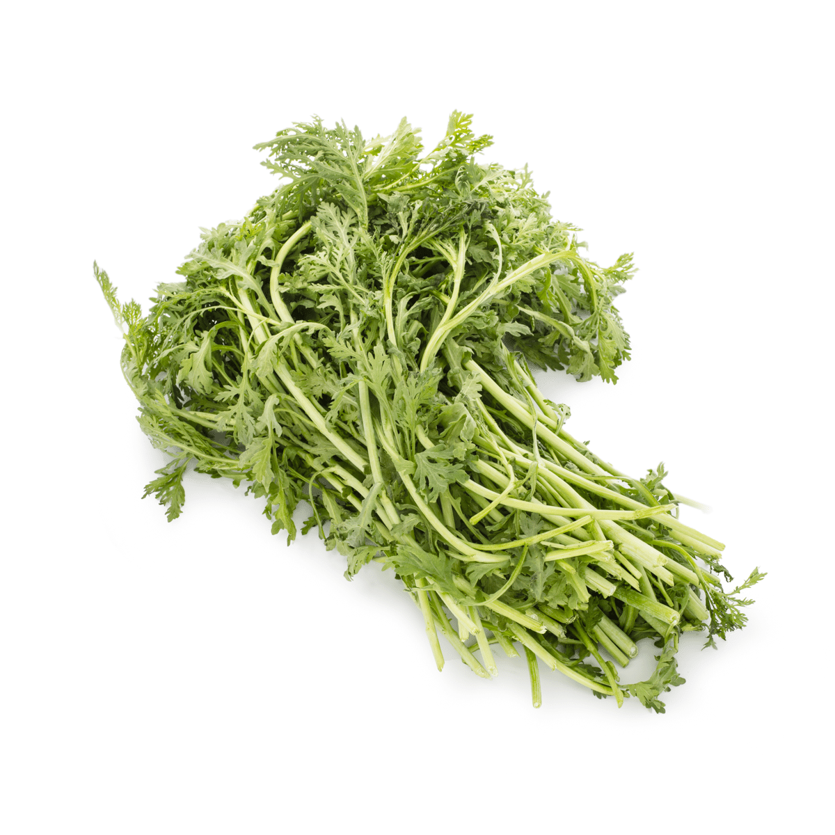 新鲜小叶茼蒿 1 磅